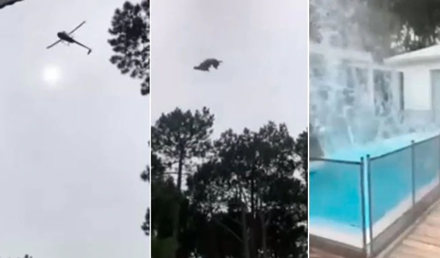 Lanzan un cerdo desde helicóptero a una piscina en Uruguay