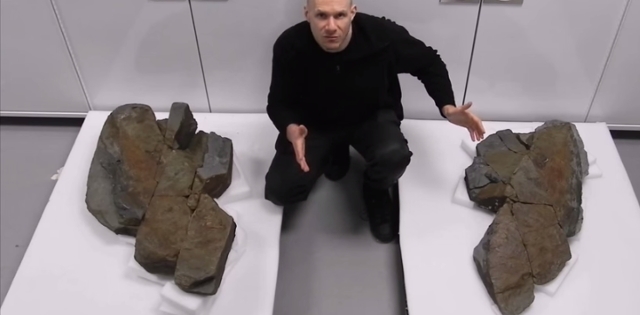 Encuentran monstruo marino que vivió hace 480 millones de años