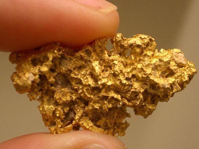 Un estudio afirma que heces humanas contienen oro por miles de millones de dólares