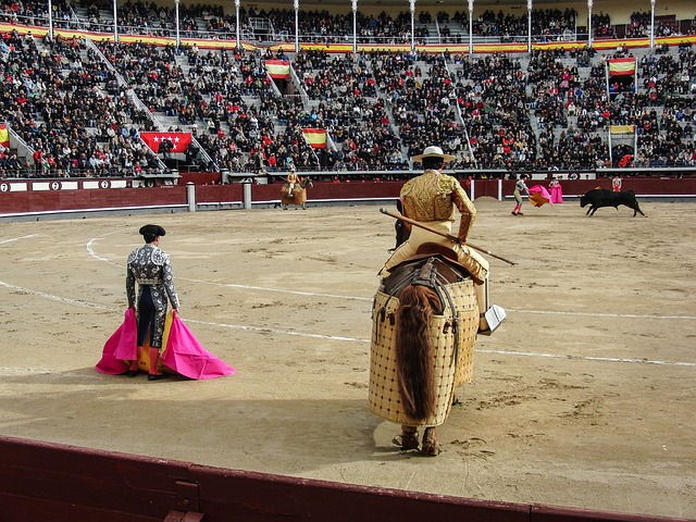 En Quito prohíben espectáculos con sufrimiento de animales