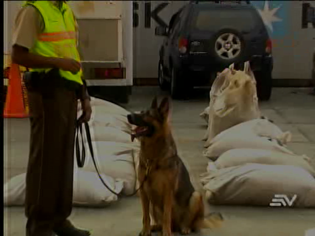 Decomisaron 3.4 toneladas de droga en 3 operativos el fin de semana