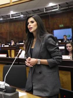 Diana Jácome, quien impulsa la reforma al COIP, en el Pleno de la Asamblea.