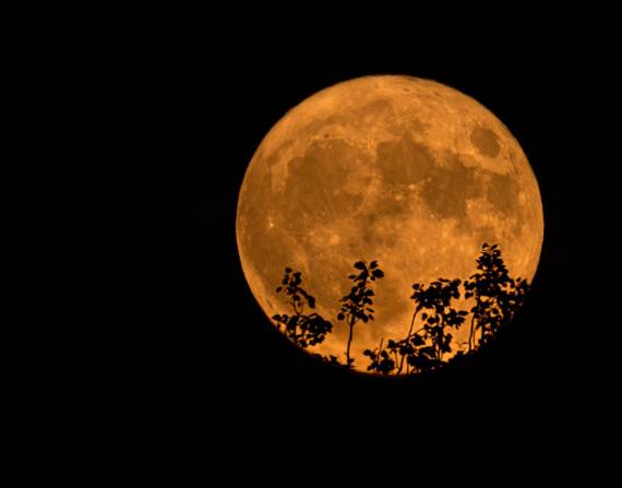 El eventro astronómico 'Superluna de ciervo' ha brindado experiencias magníficas a fotógrafos del mundo.
