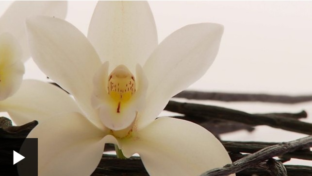 El codiciado sabor que provoca robos y asesinatos