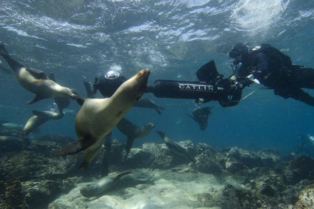 Google se enamora de las Islas Galápagos