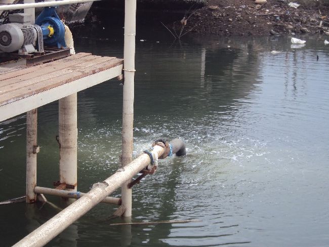 Oxigenación del Estero Salado empieza a dar resultados en varios puntos de Guayaquil