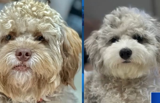 Captura de pantalla.