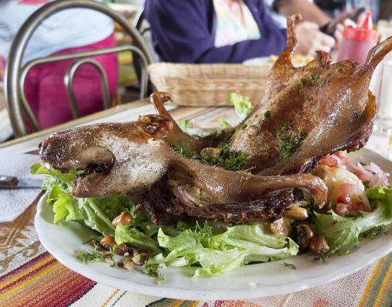 Incrementa envío de cuyes desde Cuenca a EE.UU. para cenas por fin de año