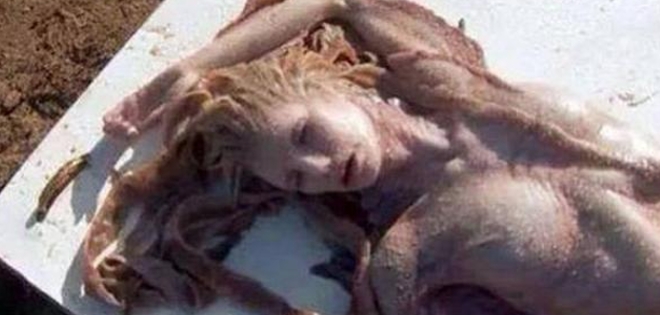 (VIDEO) Crearon alarma por supuesta sirena encontrada en México