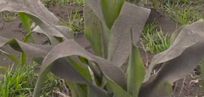 El volcán Tungurahua lanza ceniza que afecta a comunidades aledañas