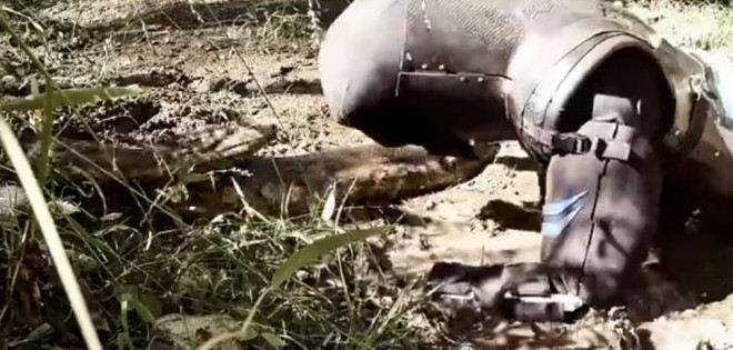 Ambientalistas reclaman a autores de 'Comido vivo por una anaconda'