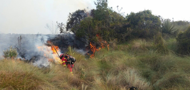 Declaratoria de emergencia por incendio en parque Nacional El Cajas