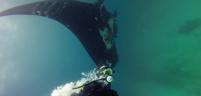 Mantarrayas Gigantes, el primer video ecuatoriano llegó a GoPro