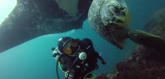 Mantarrayas Gigantes, el primer video ecuatoriano llegó a GoPro