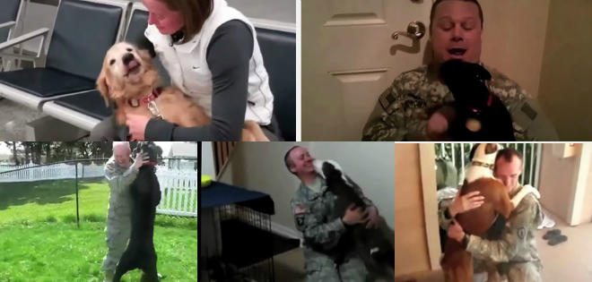 VIDEO: Conmovedor reencuentro de estos soldados con sus perros