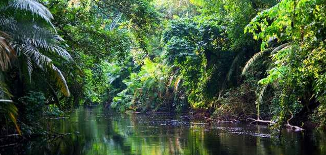 Grupo de ecologistas exige precaución al Gobierno con proyectos