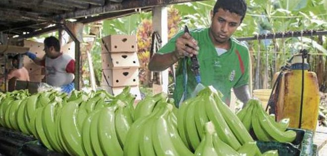 Comisión Europea desconoce si retomará negociación con Ecuador esta semana