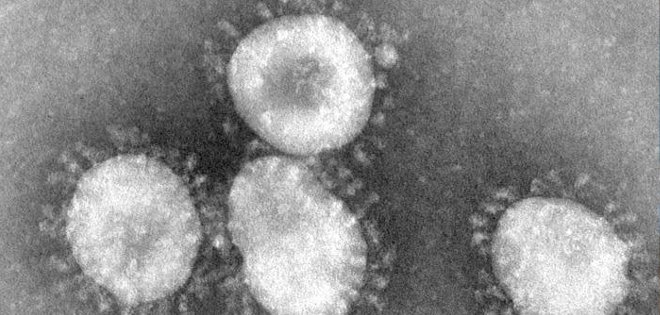 Francia confirma un primer caso del nuevo coronavirus