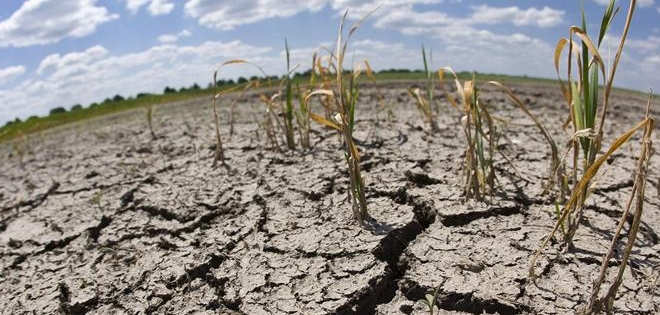 El cambio climático amenaza con aniquilar avances médicos