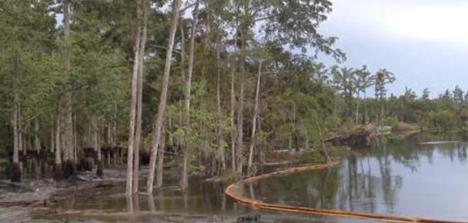 Extraño agujero se traga árboles en Lousiana, EE.UU.