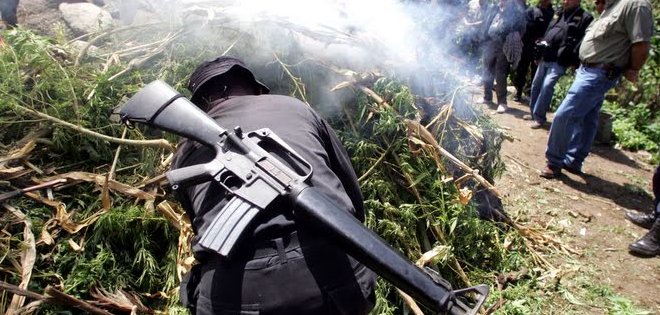 América Latina y la tentación de la marihuana legal