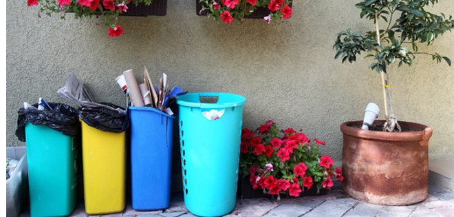 ¿Cómo puedo luchar contra el cambio climático desde casa?