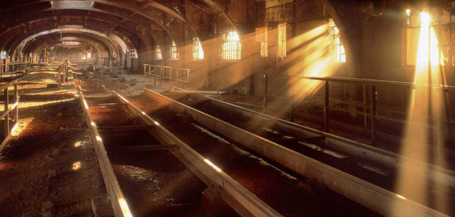 Así sería el mundo tras la extinción de la raza humana