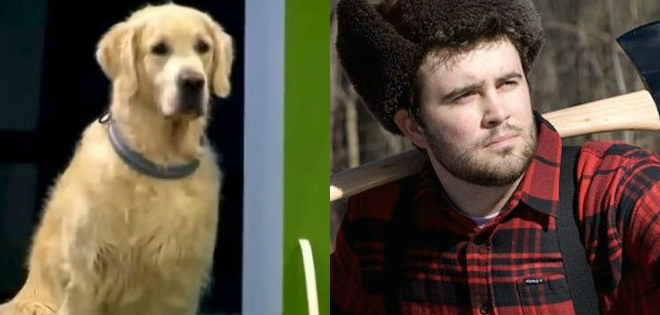 Un golden comelón y la nueva tendencia &#039;Lumbersexual&#039; en #LoMásVisto