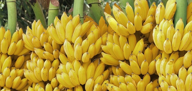 Ecuador promociona su banano en China