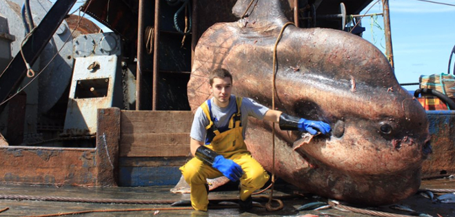 Pescador captura especies sacadas de películas de terror