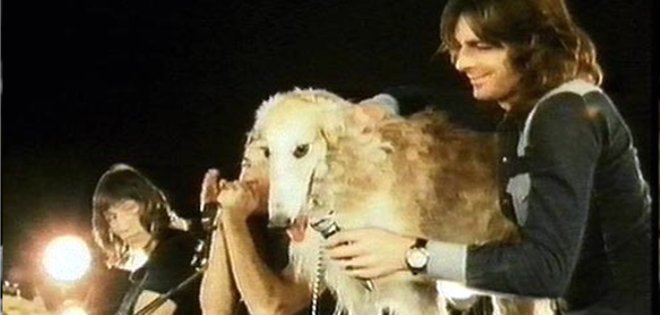 &#039;Seamus&#039;, el quinto miembro canino de Pink Floyd