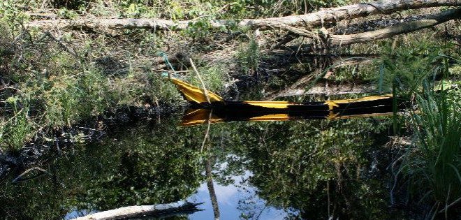 Rafael Correa dice que Chevron escogió el peor país para presionar