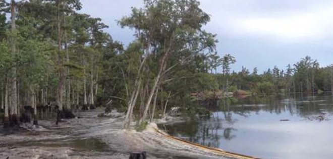 Extraño agujero se traga árboles en Lousiana, EE.UU.