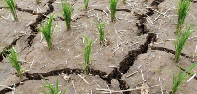 Corea del Norte asegura estar sufriendo su &quot;peor sequía en cien años&quot;