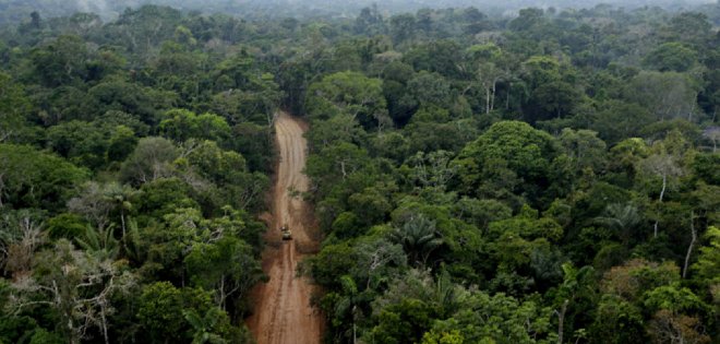 Petrolera ecuatoriana recibe luz verde para explotar campo del Yasuní