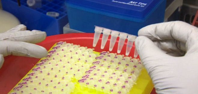 La OMS aprueba nuevo test que diagnostica el ébola en quince minutos