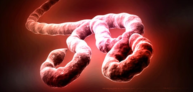 ¿Está Ecuador preparado para evitar una propagación del ébola?