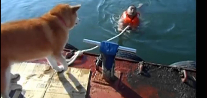 El perro Mari, ¿el ‘peor’ amigo del hombre?