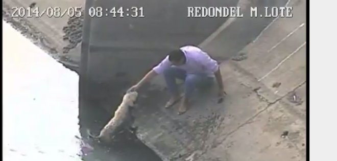 (VIDEO) Hombre rescata a un perro de una zanja en Guayaquil