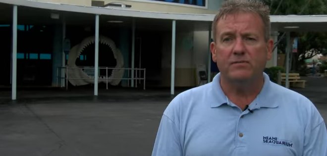 Lolita, una orca del acuario de Miami recibe protección oficial