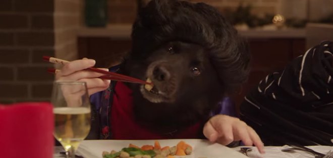 (VIDEO) Así sería la cena navideña entre 13 perros y un gato