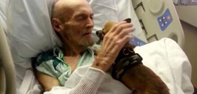Rompen las reglas de un hospital para que un anciano vea a su perro