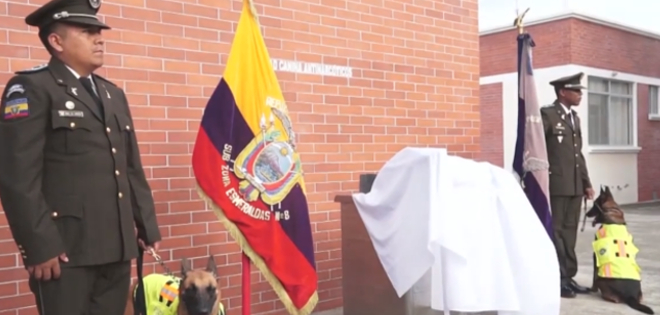 Canes antidrogas y su labor en la policía