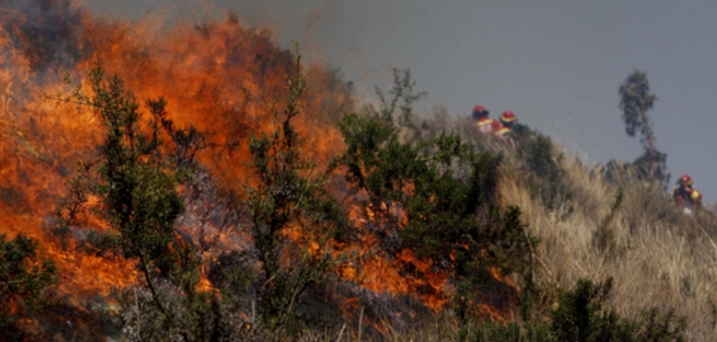 Autoridades controlan dos incendios forestales en Machu Picchu