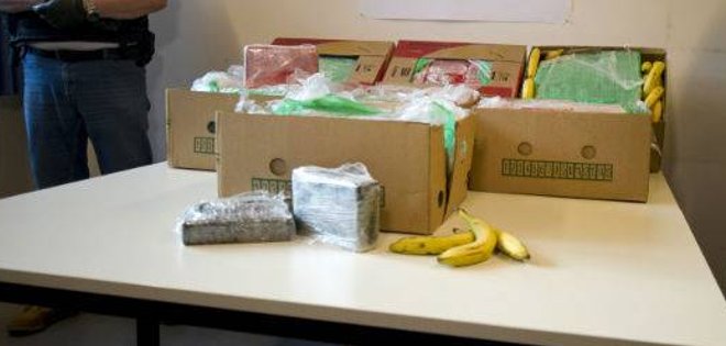 Alemania decomisa droga en cajas de banano provenientes de Ecuador