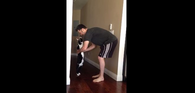 El abrazo más tierno y felino revoluciona en YouTube