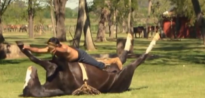 El 'yoga con caballos' no solo doma animales