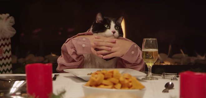 (VIDEO) Así sería la cena navideña entre 13 perros y un gato