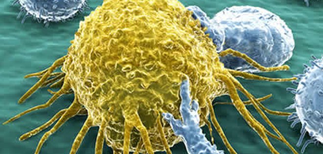 ¿Qué es el cáncer? En 60 segundos