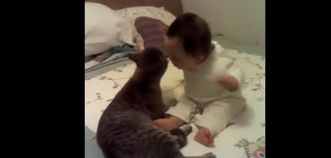 Video de bebé con síndrome de down y gato jugando se vuelve viral
